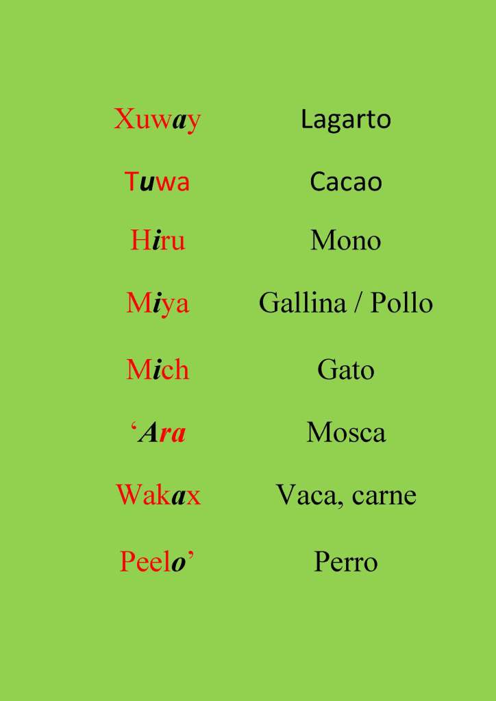 El acento en las palabras del idioma Xinka (Ejemplos)